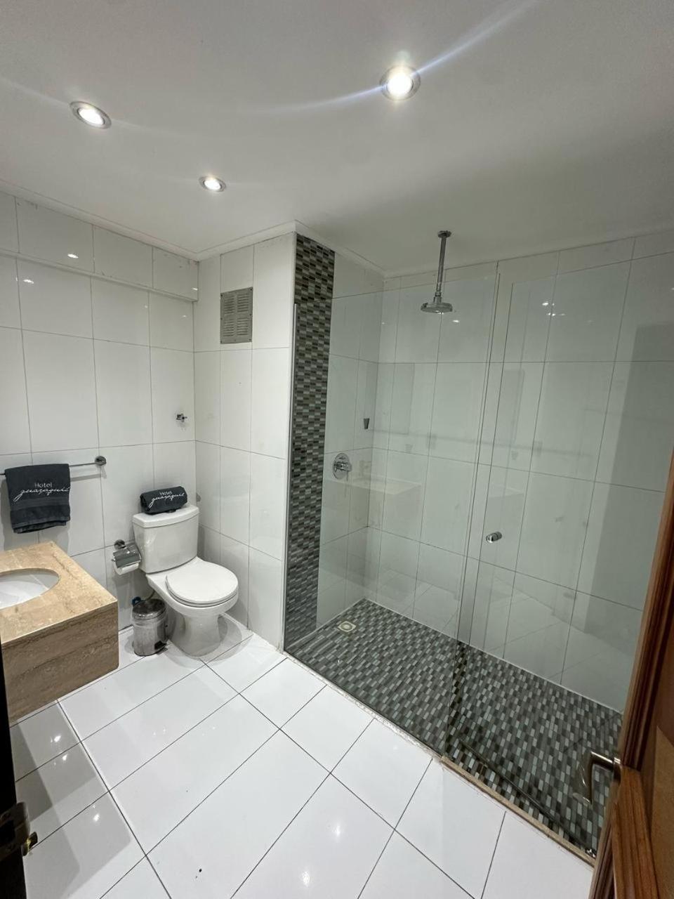 Hotel Guayaquil Santiago du Chili Extérieur photo